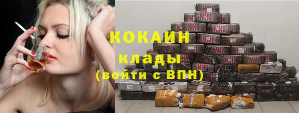 сатива Карпинск