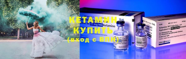 сатива Карпинск