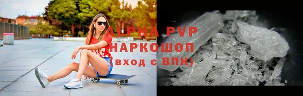 сатива Карпинск