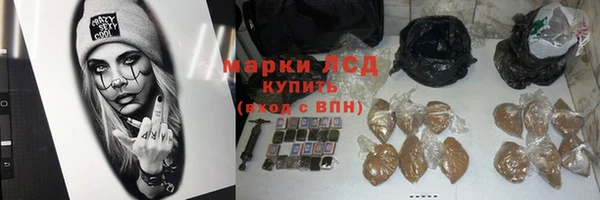 сатива Карпинск