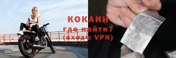 сатива Карпинск