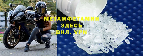 сатива Карпинск