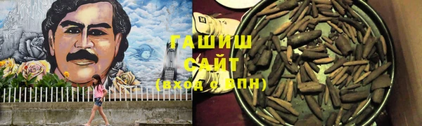сатива Карпинск