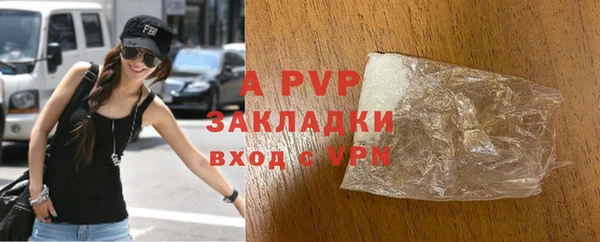 сатива Карпинск