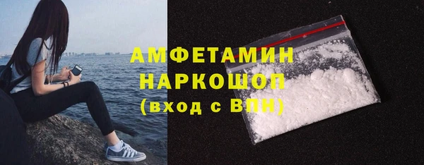 сатива Карпинск