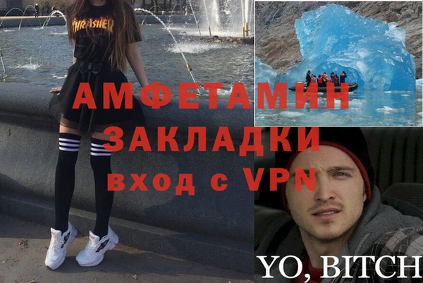 сатива Карпинск