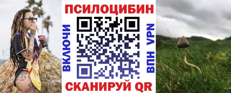 Псилоцибиновые грибы Psilocybine cubensis  Купить  Невельск 